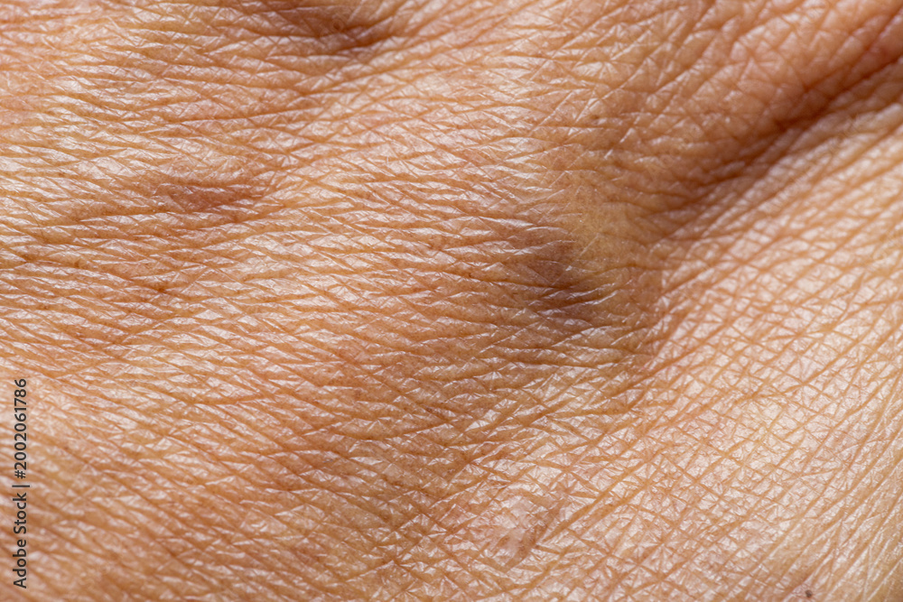 Fototapeta premium Macro Detail of Human Skin Texture and Veins on Back of Hand,Extreme close-up shot showing the intricate details of human skin texture, pores, and visible veins on the back of an adult's hand.
