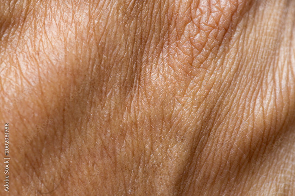 Fototapeta premium Macro Detail of Human Skin Texture and Veins on Back of Hand,Extreme close-up shot showing the intricate details of human skin texture, pores, and visible veins on the back of an adult's hand.
