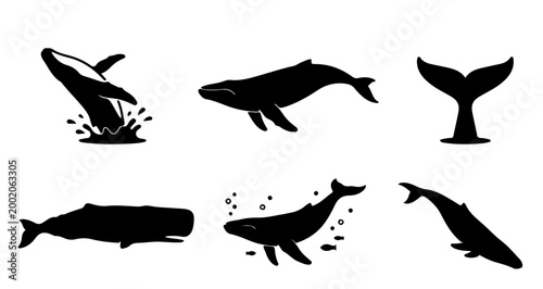 High-quality whale silhouette collection featuring six different poses: jumping whale with splash, side swimming view, tail fluke above water, full body side profile, underwater scene with bubbles and