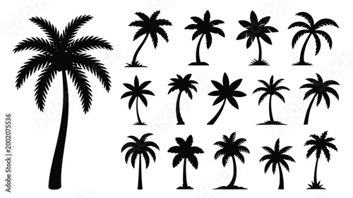 A set of fifteen palm tree silhouettes illustrated on a plain background