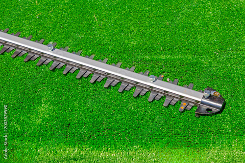 Bild auf Leinwand Electric tooth saw hedge trimmer tool outside on lawn in countryside