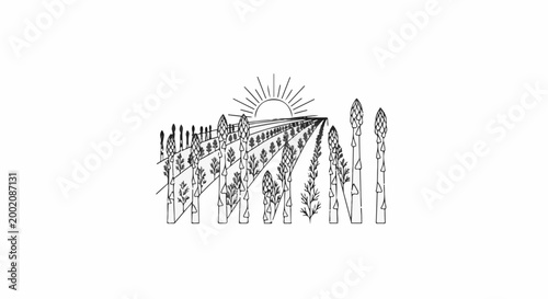 Illustration of asparagus stalks and fields under a radiant sun