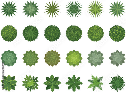 Landscape CAD top view plant symbol set with shrubs, hedges, succulents, grass clusters and ornamental greenery for garden design, site plan and architectural landscaping drawings