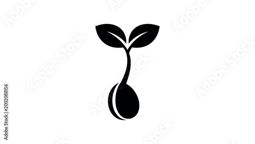 Seed Sprout Silhouette Plant Growth Icon