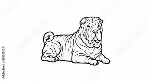 Line drawing of a wrinkly dog lying down with a curled tail