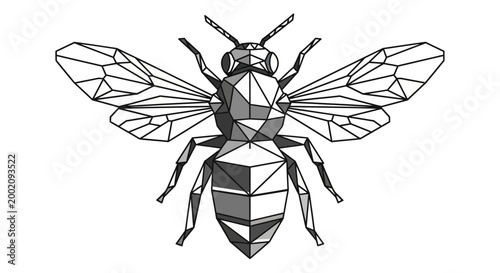 Abstract Geometric Bee Illustration in Grey Tones from Top View, Isolated White Background