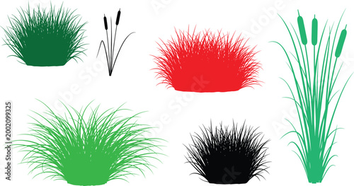 Grass and reed plant silhouettes collection, colorful meadow vegetation vector illustration, wild foliage elements, nature greenery design, botanical landscape set, decorative outdoor plant icons