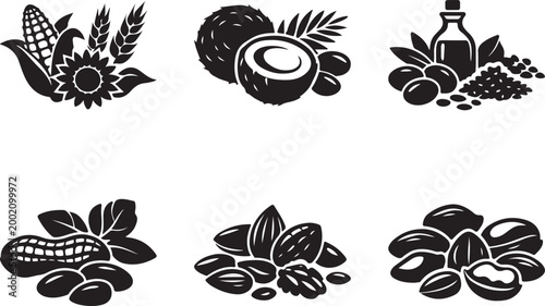 Various edible nuts seeds and plant produce vector icons for food and agriculture silhouette vector