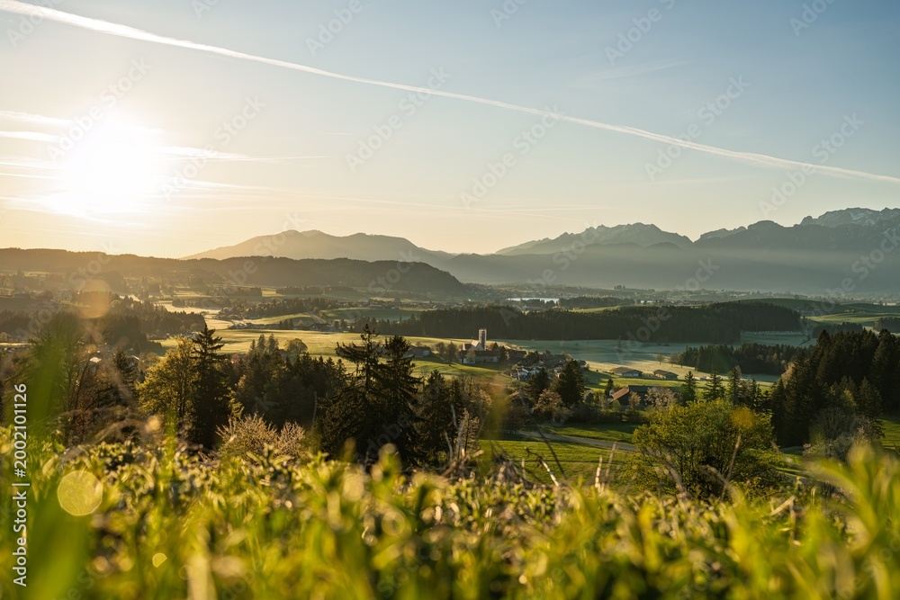 Fototapeta premium Sunrise over Allgaeu Alps near Fuessen: Idyllic Bavarian Landscape with Green Meadows, Spring Flowers and Misty Mountains in Golden Light, Germany - Rural Countryside Panorama for Travel Backgrounds