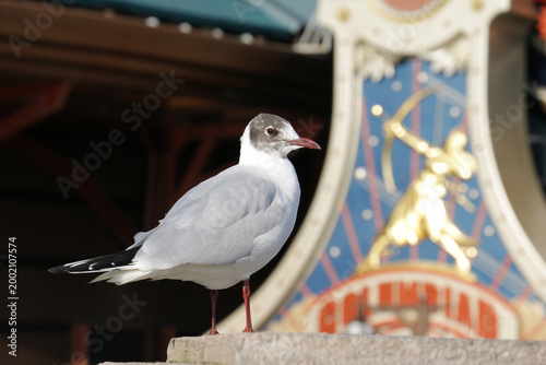 Foto Mouette et Artémis à Disneyland Paris