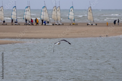 kite surfing on the beach