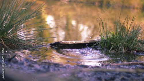 Ripples form in lake water after splash