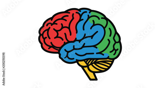 A colorful, segmented illustration of the human brain, showing different lobes in red, blue, green, and yellow, representing its complex structure and functions.