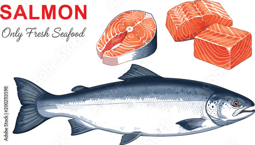 Vector Illustration of Fresh Salmon Fish with Sliced Fillets for Seafood, Healthy Eating, and Culinary Concepts