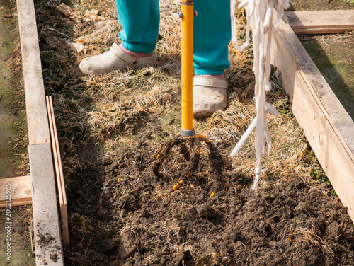 Foto Woman gardener using manual cultivator to loosen soil in raised garden bed