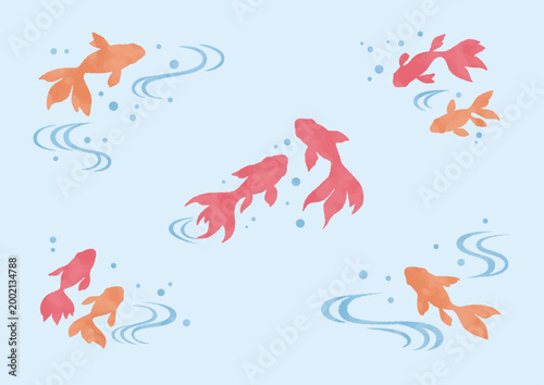 和風水彩金魚イラスト（日本の夏・和柄・手描き風テクスチャ）