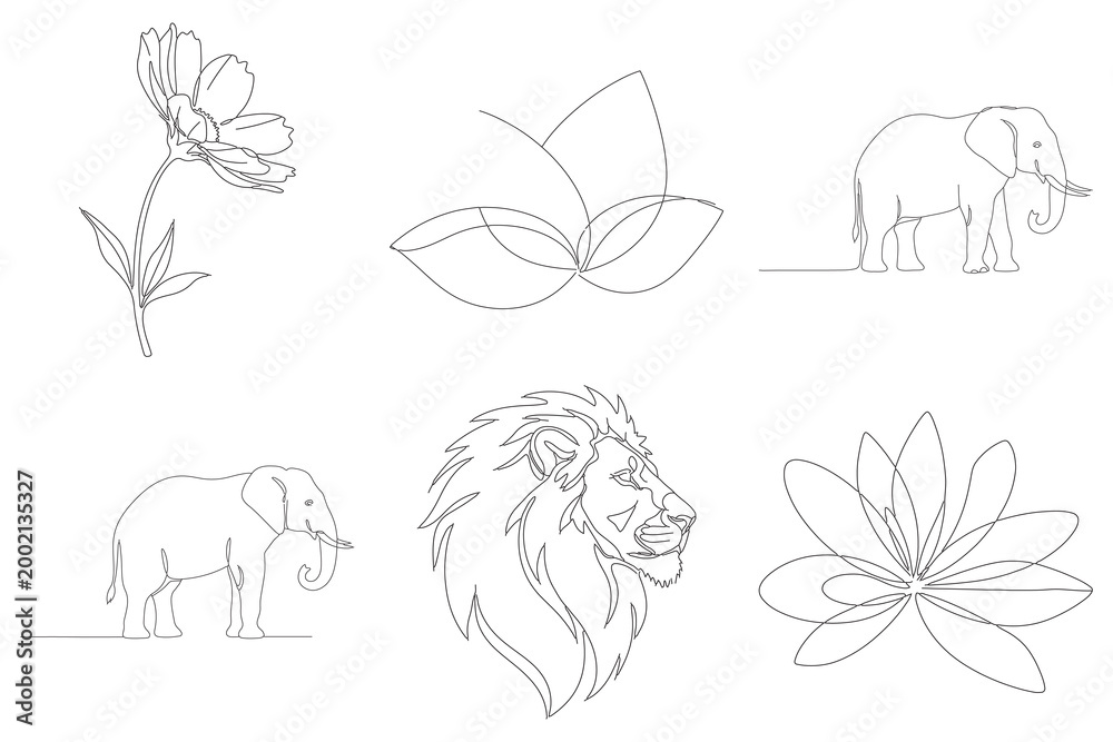 Fototapeta premium Minimalist single line art of flora and fauna: cosmos flower, lotus, elephant, and majestic lion profile.