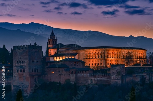 ALHAMBRA DE GRANADA SPAIN A