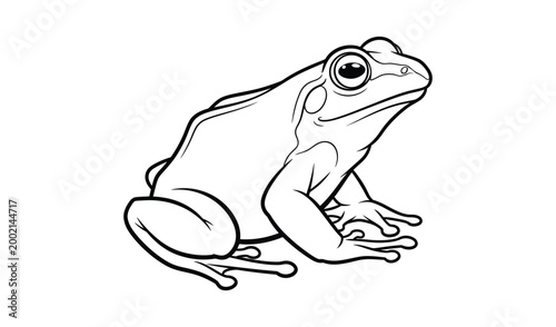 A black and white line drawing of a frog sitting on a surface looking to the right