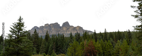 Vast green forest park with distant mountain range under a clear sky showcasing lush landscape, natural scenery, and peaceful outdoor wilderness.