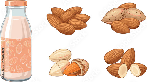 Vector Illustration of Almond Milk and Almonds with Whole, Shelled, and Sliced Almonds on White Background