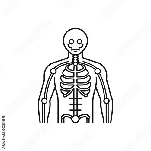 Medical Anatomy Full Body Vector