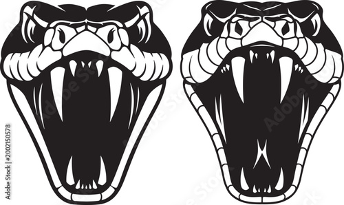 Aggressive snake heads with open mouths and sharp fangs stylized line art illustration of reptile power and danger white background aggressive venomous illustration wildlife predator menacing