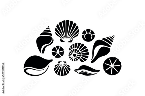 seashell collection beach silhouette