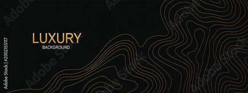 Luxury Black and Gold Abstract Line Background with Elegant Wave Pattern for Premium Branding Packaging Invitation and Modern Design
