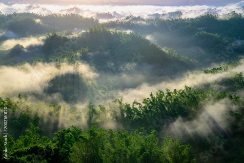 A breathtaking summer morning sunrise over the lush green hills and bamboo forests of Zuozhen, Tainan, Taiwan, with soft mist rolling through the valley.