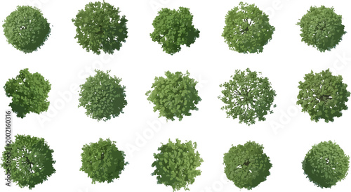 Tree plan vector set featuring green deciduous trees in top view perspective with realistic shadows for architectural site planning layout.