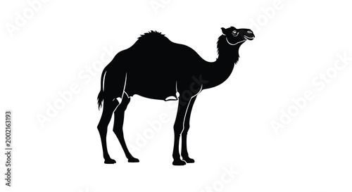 camel silhouette standing profile black white background high quality professional detailed modern elegant stylish clean crisp vibrant colorful digital creative innovative