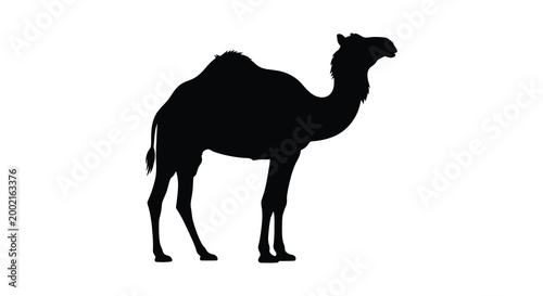 camel silhouette standing profile black white background high quality professional detailed modern elegant stylish clean crisp vibrant colorful digital creative innovative