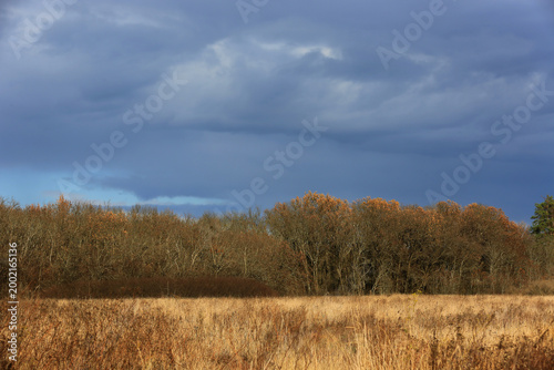 Photos Autumn landscape with dry grass field and bare trees under dramatic cloudy sky