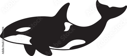 Black and white orca whale silhouette vector illustration.