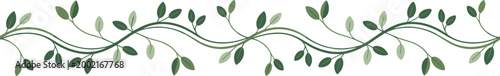 Photos Green leafy vine seamless border with flowing lines, decorative botanical patter