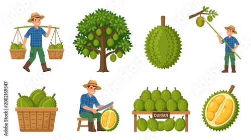 A comprehensive illustration depicting the cultivation, harvesting, transportation, and preparation of exotic durian fruit by farmers for market sale and enjoyment.