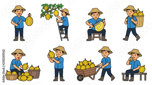 Thai durian farmers in diverse actions performing daily agricultural tasks and working with harvest in a colorful vector illustration set