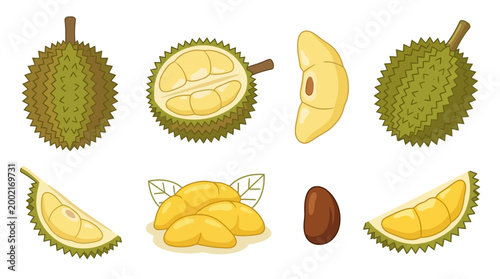 Fresh ripe durian fruits shown in various cut styles including whole pieces and fleshy segments isolated on a white background