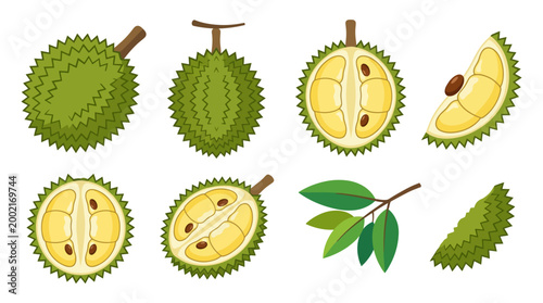 Collection of fresh ripe durian fruit pieces with leaves presented as isolated graphic elements on a clean white background