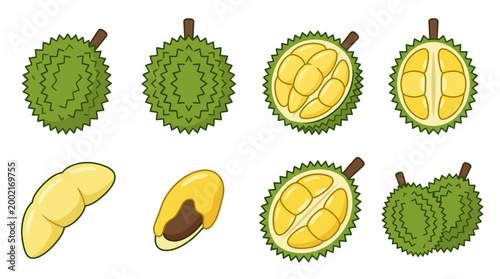 Set of durian fruits including whole pieces and sliced segments shown as simple flat vector icons for modern food design