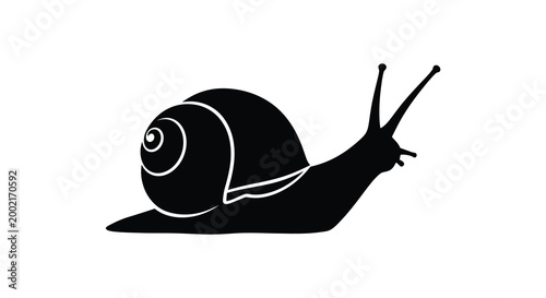 snail silhouette on white background high quality professional detailed modern elegant