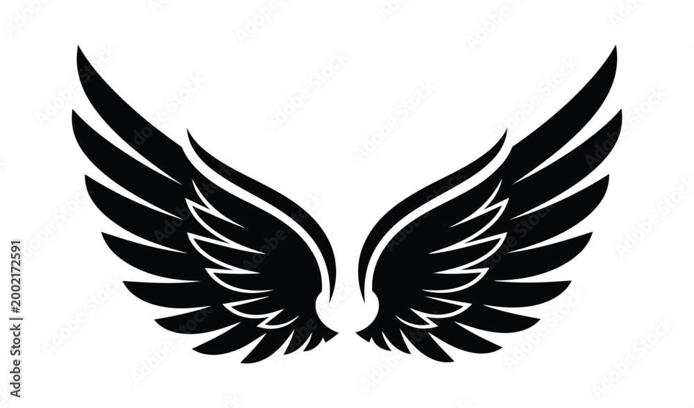 Fototapeta premium A pair of black wings with white accents