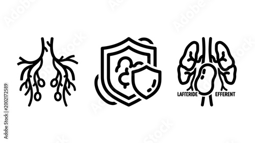 Medical health protection and anatomy outline icons set with protection immunity respiratory clinical internal wellness illustration minimalist research diagnostics pathology structures