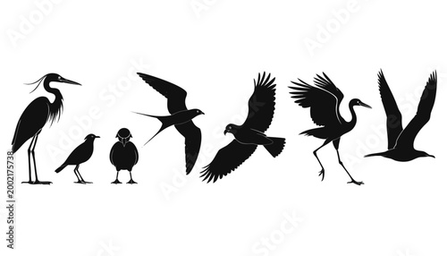 Vector collection of artistic tribal bird icons and decorative shapes