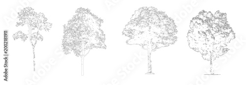 Obraz na plátně Vector Tree Collection Elevation View, Architectural Landscape Trees, CAD AutoCA