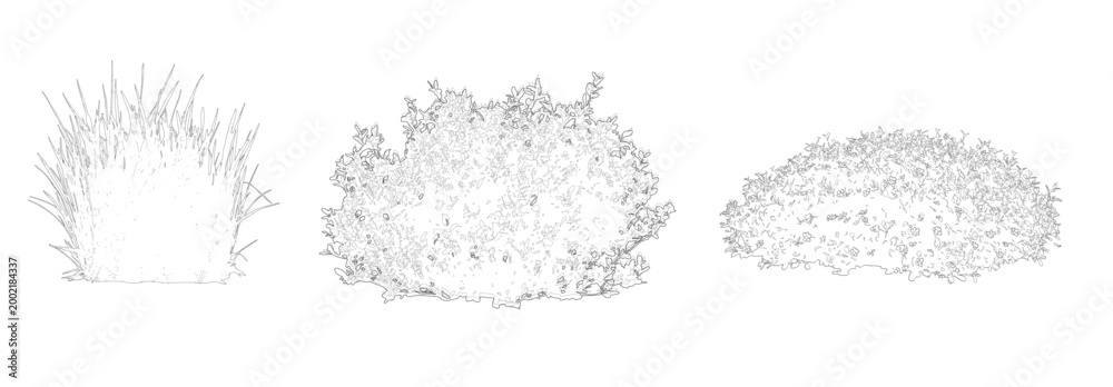 Naklejka premium Trees Vector Set Elevation View, Architectural Trees for Landscape Drawings