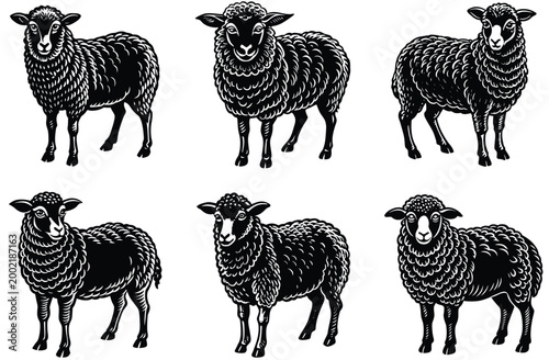 Tablou pe pânză sheep icon illustration