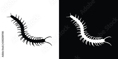 Foto Centipede silhouette vector, crawling insect bug black vector, centipede icon