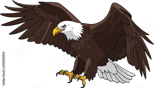 Adobe Illustrator Artwork